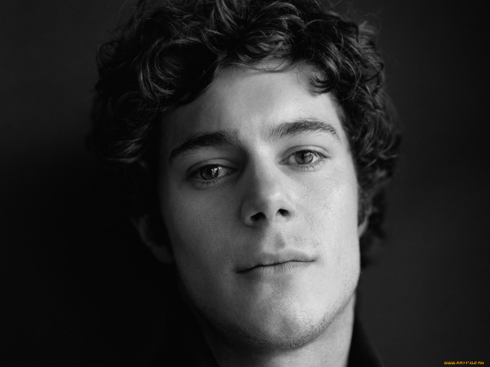 adam, brody, 